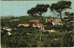 Giens Vue Generale - Le Village - Etablissements Renee Sabran