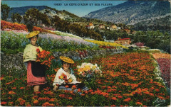 La Cote-d'Azur et ses Fleurs