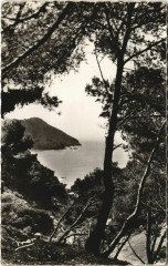 Le Brusc Le Mont Salvat