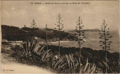 Giens Aleos en Fleurs - Vue sur la Baie de l'Hopital -
													83 Var
												