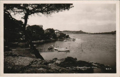 Le Brusc Pointe de Cayol