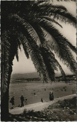 Le Brusc La Plage