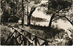 Le Rayol Le Petit Pont