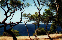 Lumiere et Beaute de la coté d'Azur Le Brusc