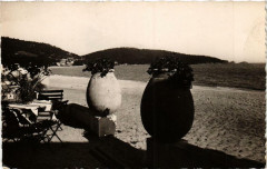 Cavaliere-cap Negre La Plage