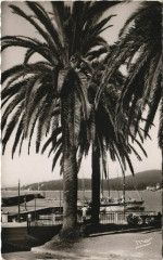 Ste Maxime Vue prise de la Place des Palmiers France -
													83 Var
												