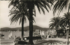 Ste Maxime Place des Palmiers France -
													83 Var
												