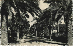 Sanary Avenue de Port-Issol France