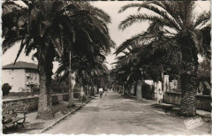 Sanary Avenue de Port-Issol France