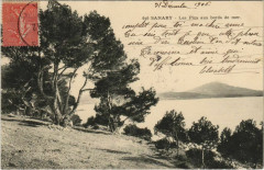 Sanary Les Pins aux Bords de mer France