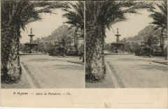Hyeres Allee de Palmiers France -
																					83400 Hyères
																			
