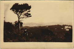 Hyeres Vue Panoramique - Rocher des Anglais - Photo Postcard à Hyères