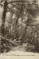 Foret de la Sainte-Baume - De la Grotte au Canape
