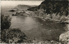 Le Brusc Pointe du Mont Salvat