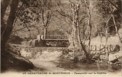 Montrieux Chartreuse de Montrieux - Passerelle sur le Gapeau