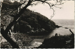 Porquerolles Un Coin de la Calanque de Breganconnet