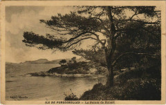 Ile de Porquerolles La Pointe de Robert