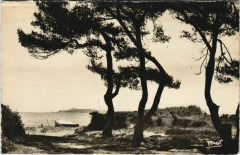 La Capte Un Coin de la Pinede - Environs d'Hyeres