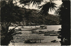 Ile de Port-Cros Iles d'Or