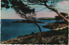 Ile de Porquerolles La Pointe Prime