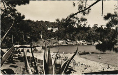 Le Canadel Echappee sur la Plage
