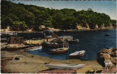 Varoise Presqu'Ile-de-Giens - Petit Port de Niel -
													83 Var
												