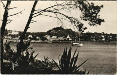Ile de Porquerolles Vue Generale