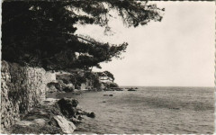 Toulon Le Sentier des Douaniers France à Toulon