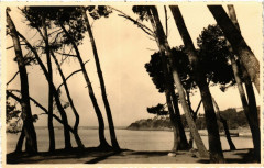 Bords de Mer -
													83 Var
												