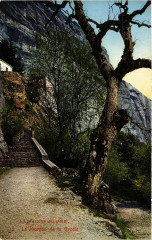 La Sainte-Baume La Montée de la Grotte