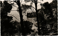 Porquerolles La Grande Cale