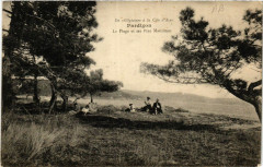 Pardigon La Plage et ses Pins Maritimes