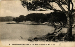 Ile de Porquerolles Les Médes-Bords de Mer