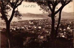 La Bocca - La Bocca a travers les Pins -
													06 Alpes Maritimes
												
