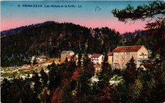 Peira-Cava Les Hotels et la foret -
													06 Alpes Maritimes
												