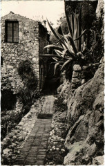 Eze-Village - Vieille Rue Pittoresque à Èze