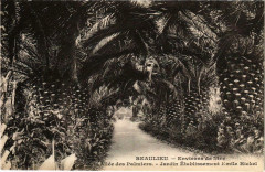 Beaulieu Allée des Palmiers