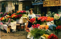 Nice- Le Marche aux Fleurs France à Nice
