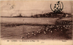 Cannes - Les Mouettes sur la Plage à Cannes