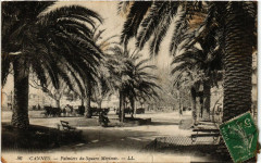 Cannes - Palmiers du Square Mérimée -
																					06150 Cannes
																			