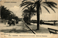 Cannes - Boulevard de la Croisette - Allée des Palmiers à Cannes
