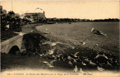 Cannes - Le Repos des Mouettes sur la Plage de la Croisette à Cannes
