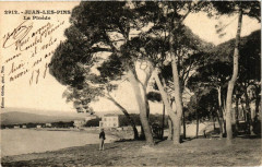 Juan-les-Pins La Pinede