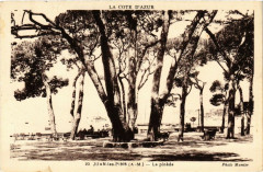 Juan-les-Pins La pinede