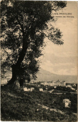 Beaulieu - Travers les oliviers -
													06 Alpes Maritimes
												