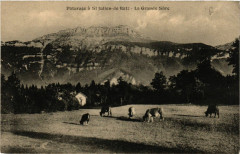 Paturage a Saint-Julien-de-Ratz - La Grande Sure
