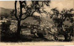 Grasse - Vue entre les oliviers à Grasse