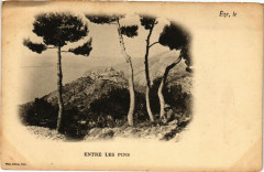 Entre Les Pins -
													06 Alpes Maritimes
												