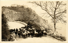 Le Chateau et mutons sur la route