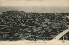 Ile De Sein Les Champs